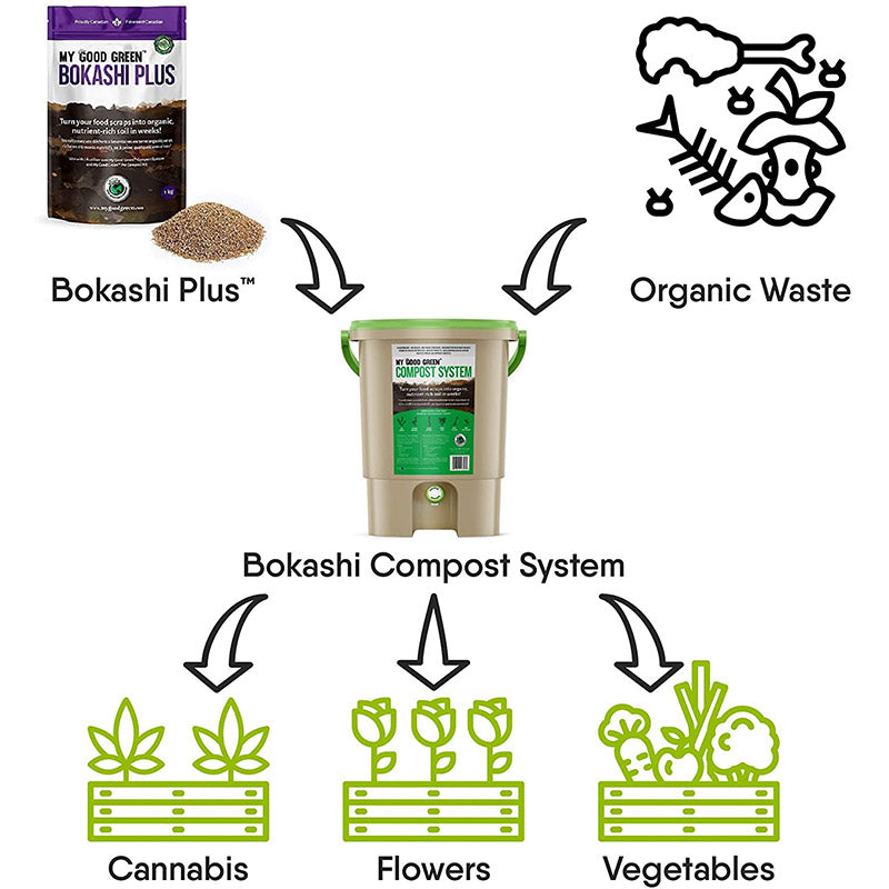 Bokashi vs Traditional Composting