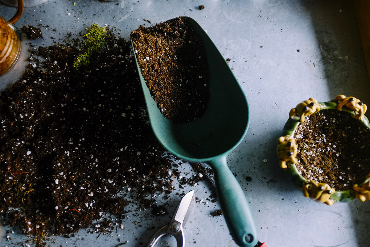 6 Things You Should Know Before Composting with Bokashi