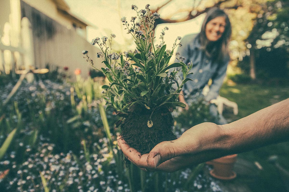 Why First Nations are Using Bokashi Composting